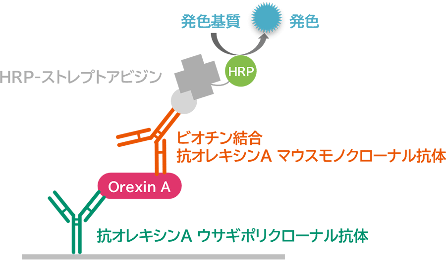 測定原理