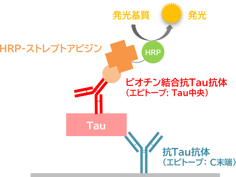 測定原理