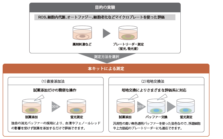 目的の実験から本キットでの評価