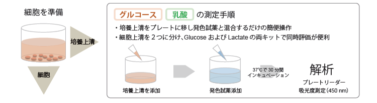 グルコース・乳酸の測定手順