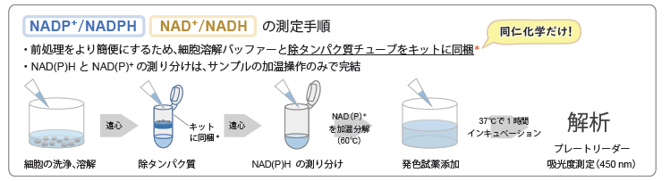 NADP/NADPH・NAD/NADHの測定手順