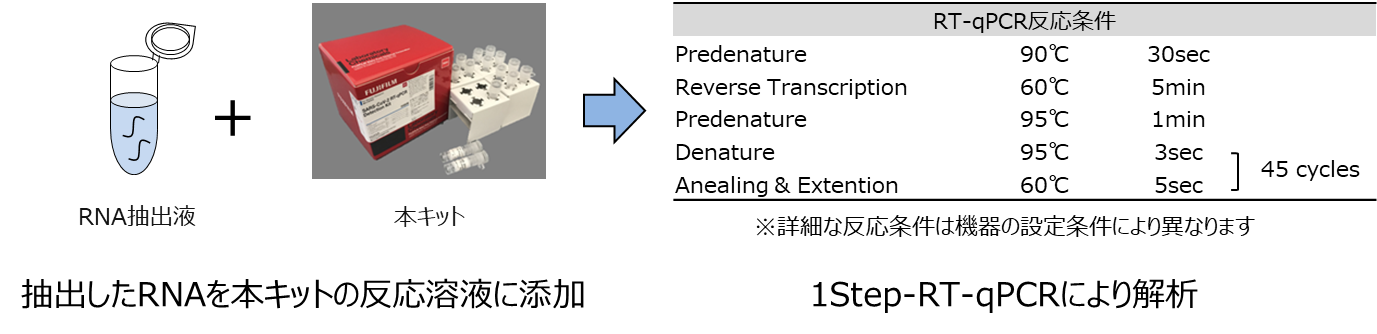 操作方法：抽出したRNAを本キットの反応溶液に添加、1Step-RT-qPCRにより解析