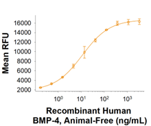 Recombinant Human BMP-4, Animal-Free