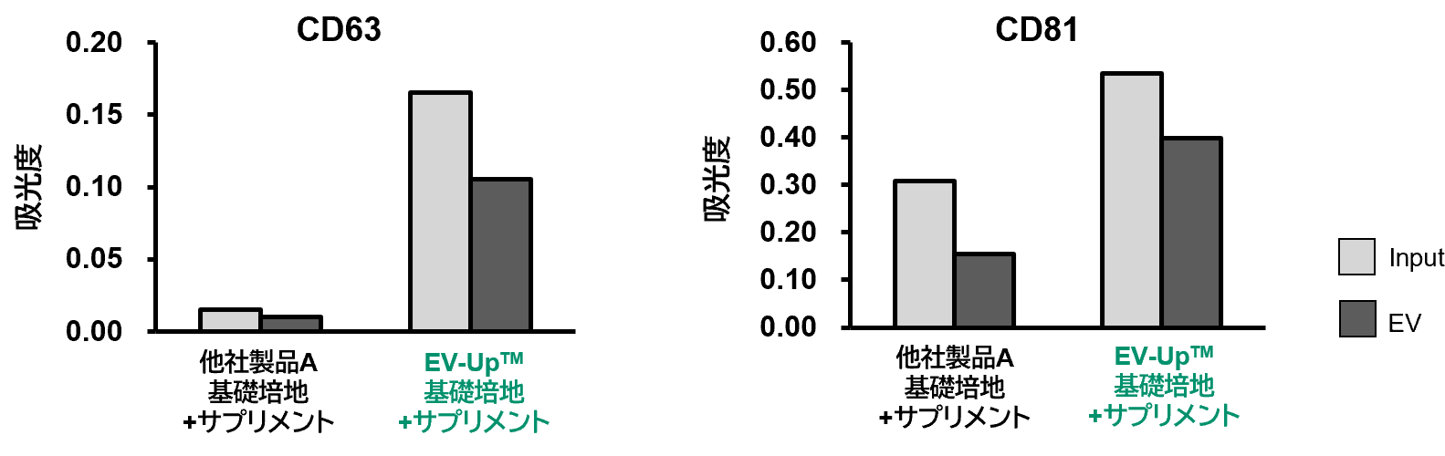 (2) EVマーカータンパク質
