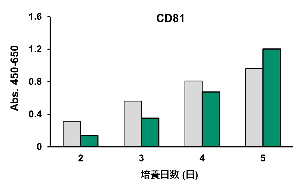 CD81