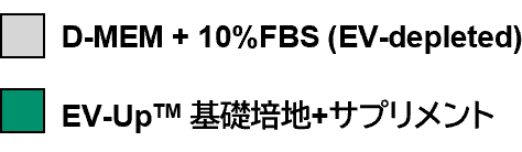 CD81