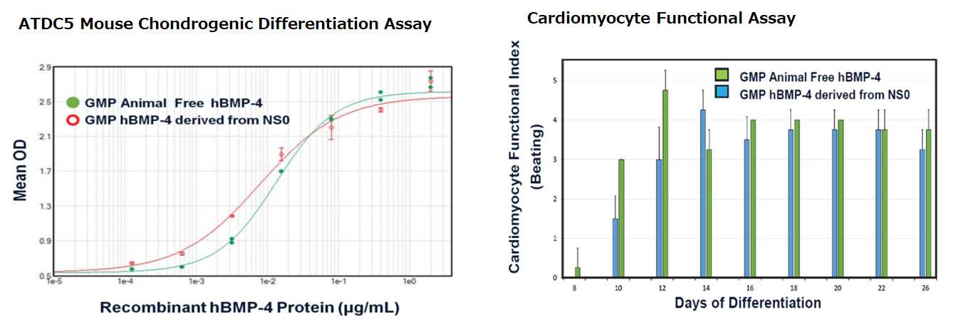 哺乳類細胞由来との生物活性比較