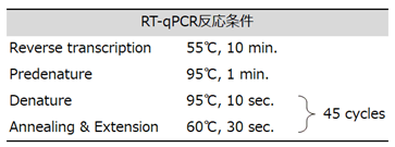 PCR反応条件
