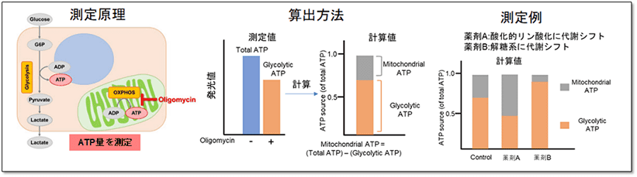 代謝シフトの評価図