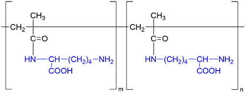 ポリメタクリロイルリシンの化学構造