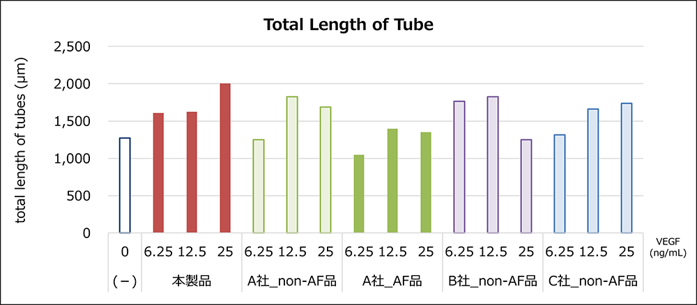 血管新生能評価, Total Length of Tube