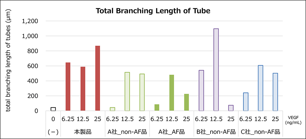 血管新生能評価, Total Branching Length of Tube