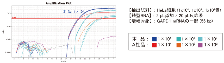 HeLa細胞から抽出したRNAのリアルタイムPCR