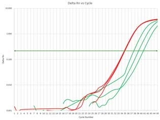 図:リアルタイムqPCR比較データ