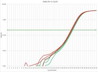 図:リアルタイムqPCR比較データ