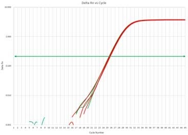 図:リアルタイムqPCR