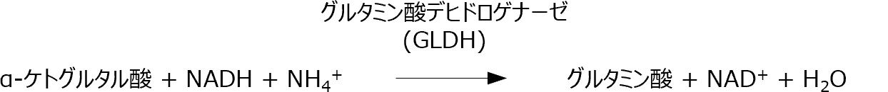 図1 GLDHの測定原理