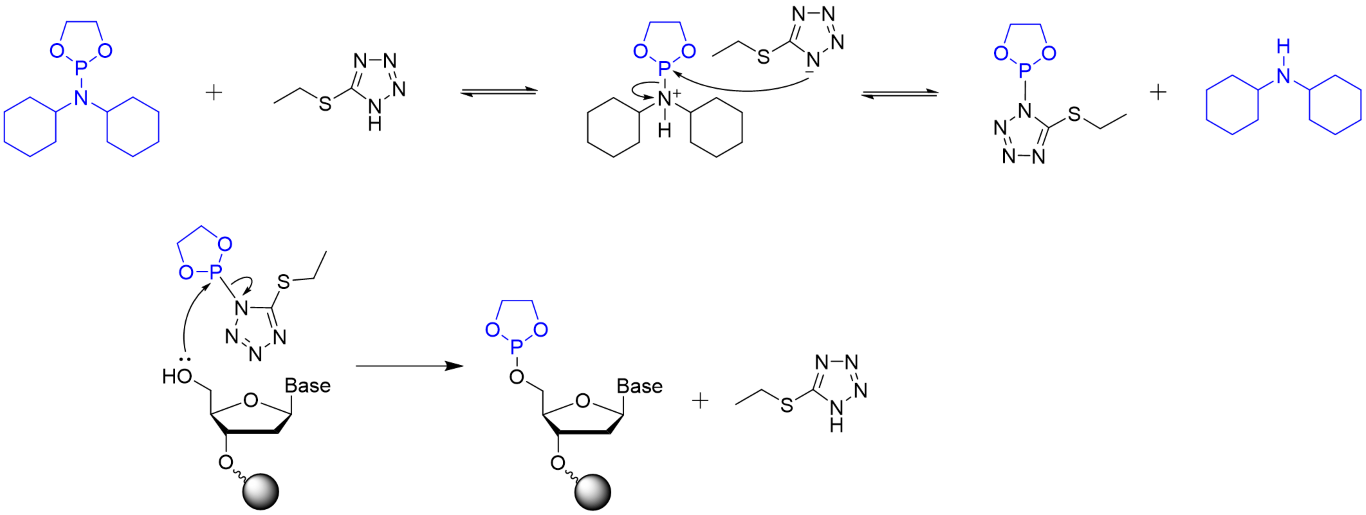EDCP によるキャッピング反応