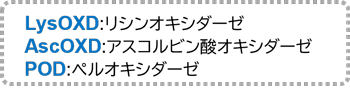LysOXD:リシンオキシダーゼ/AscOXD:アスコルビン酸オキシダーゼ/POD:ペルオキシダーゼ