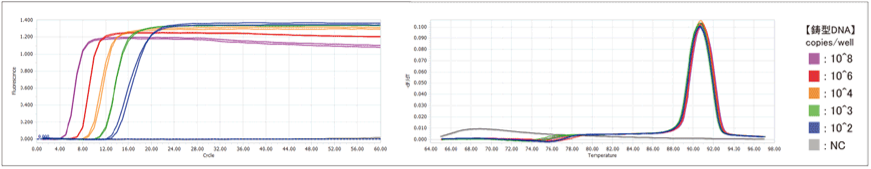 BoostAmp Bst polymerase (蛍光検出)