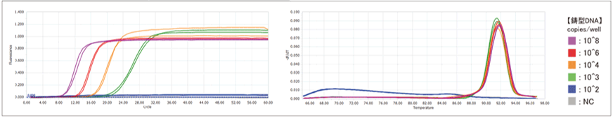 A社品 改変型 Bst DNA Polymerase (蛍光検出)