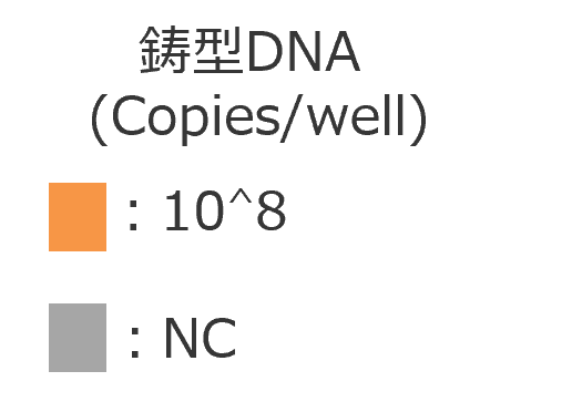 鋳型DNA (Copies/well)