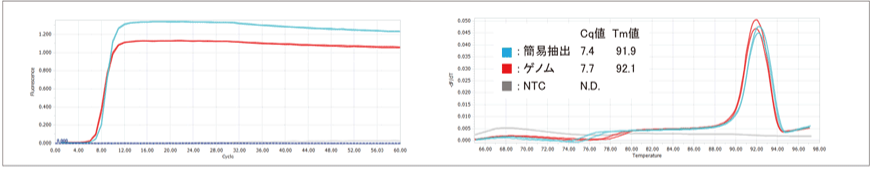BoostAmp Bst polymerase (毛根サンプルのアルカリ抽出)