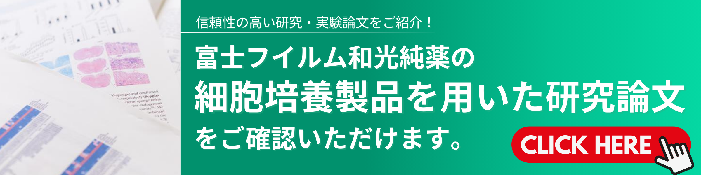 331752-47-7・CultureSure (R) Y-27632・030-24021・036-24023・034
