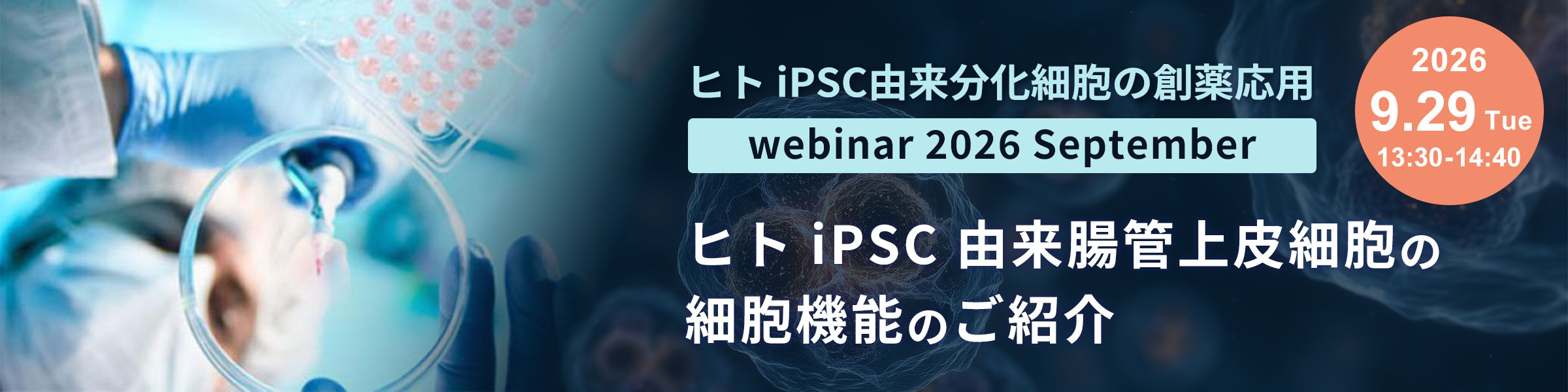 ヒト iPSC由来分化細胞の創薬応用 webinar 2026 September ～ヒト iPSC 由来腸管上皮細胞の細胞機能のご紹介～