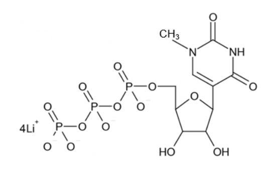 N1-メチルシュードウリジン-5'-三リン酸