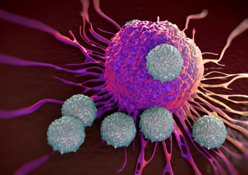 がん細胞を攻撃するT細胞を示す顕微鏡写真の図