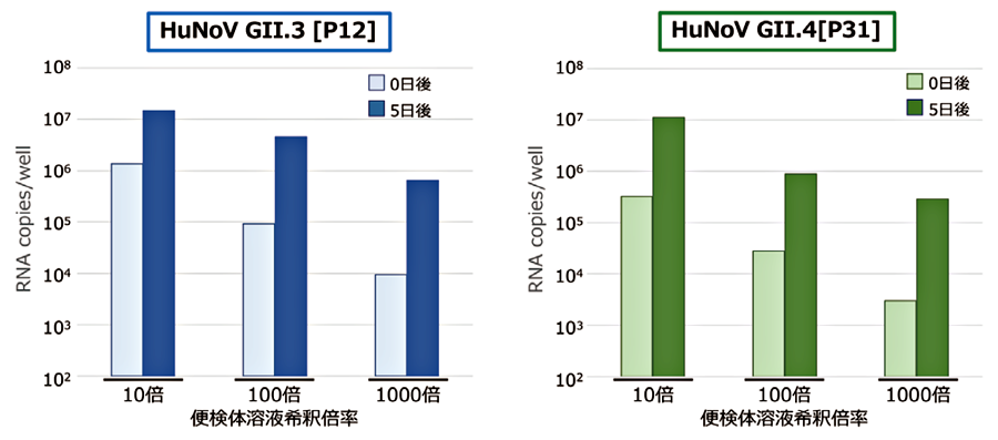 図1．F-hiSIEC™におけるHuNoV RNAコピー数の増加