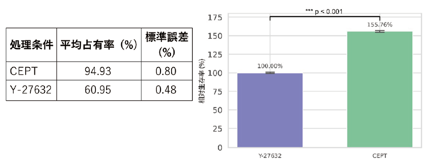 図1． CEPTとY-27632による細胞死抑制効果CEPTではエレクトロポレーション24時間後の細胞生存率が大幅に上昇した。