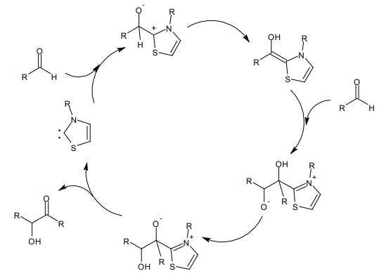 チアミンによるベンゾイン縮合のサイクル