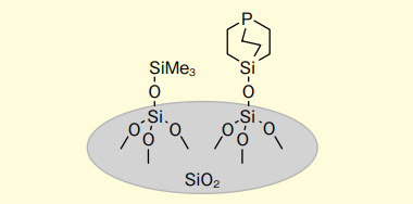 図１．Silica-SMAP の概略図