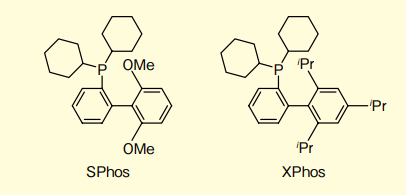 図２．SPhos と XPhos の構造式