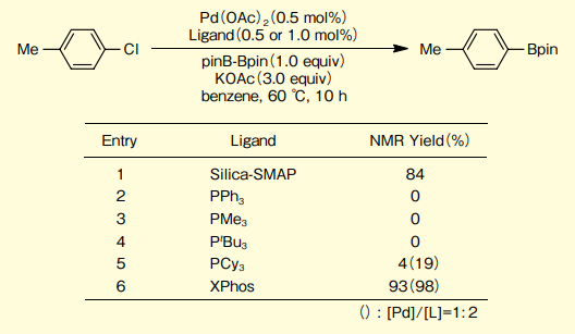 図４．4- クロロトルエンのほう素化カップリングでの配位子効果