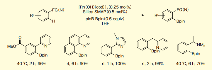 図９．N 官能性芳香族化合物のオルト位 C-H ほう素化