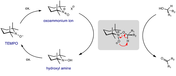 Figure 1. The proposed mechanism of TEMPO oxidation