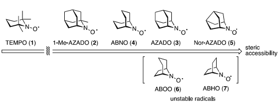 Figure 3. Structure of representative nitroxyl radicals and their reactivates.