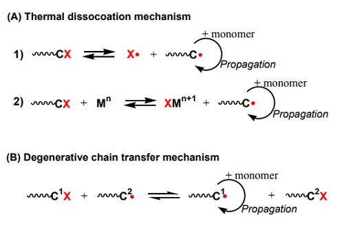 Scheme 1. Propagation mechanisms of living radical polymerizations