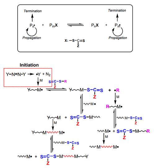 Scheme 2. Mechanism of RAFT polymerization