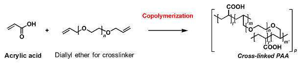 Fig.2. Copolymerization of acrylic acid and diallyl ether as a cross-linker.