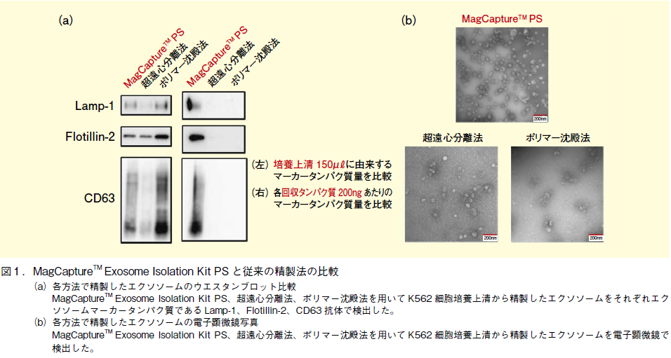 図1．MagCapture Exosome Isolation Kit PS と従来の精製法の比較