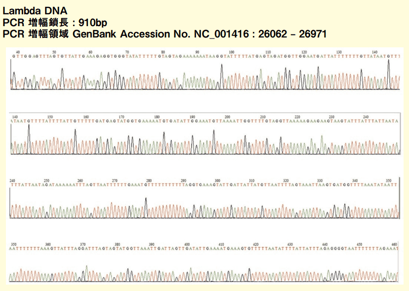 図１．Lambda DNA PCR 増幅産物塩基配列解読結果