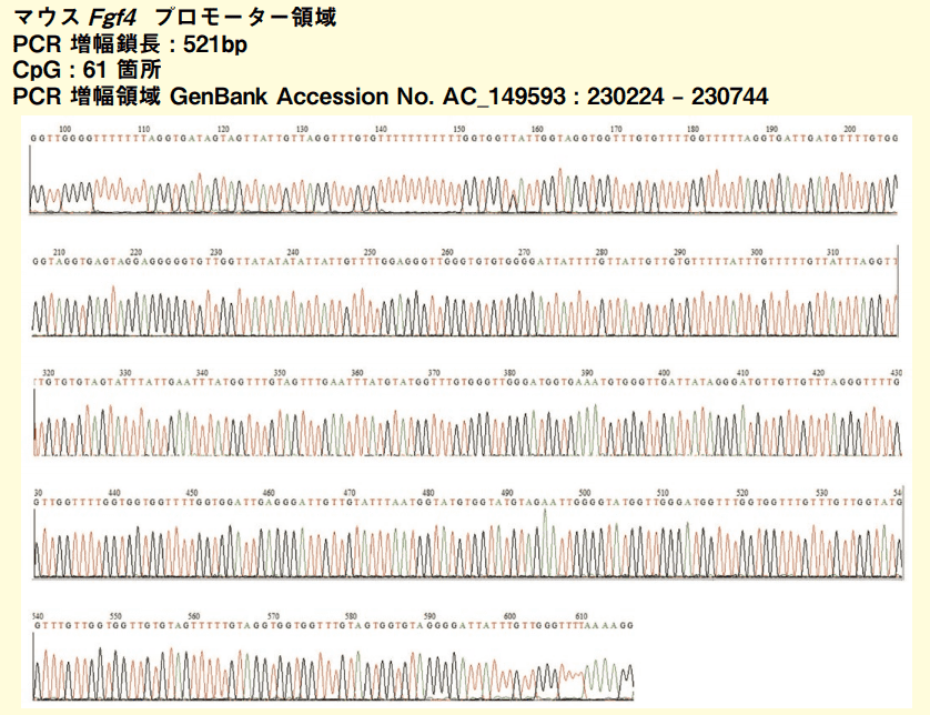 図３−１．マウス ES 細胞 PCR 増幅産物塩基配列解読結果