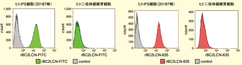 図4．rBC2LCN-FITC、rBC2LCN-635を用いたヒトiPS細胞の分離