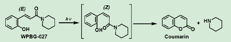 図4．脱炭酸の起こらない非イオン型PBG