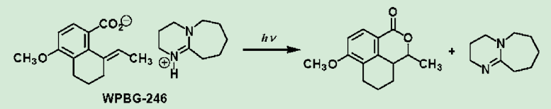 図6．脱炭酸の起こらないイオン型PBG