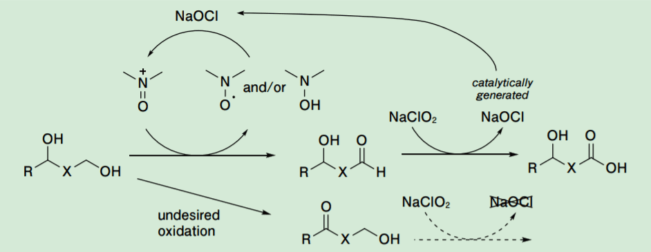 Scheme 3. Catalytic pathway of the nitroxy radical/NaCl/NaClO2 nethod
